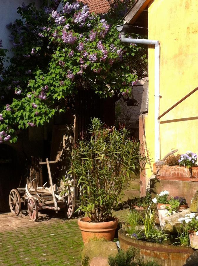 La Maison De Caroline Westhoffen Εξωτερικό φωτογραφία